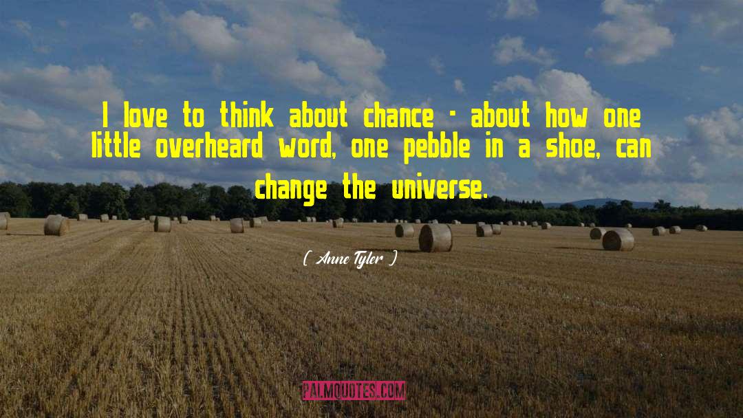 Pebbles quotes by Anne Tyler