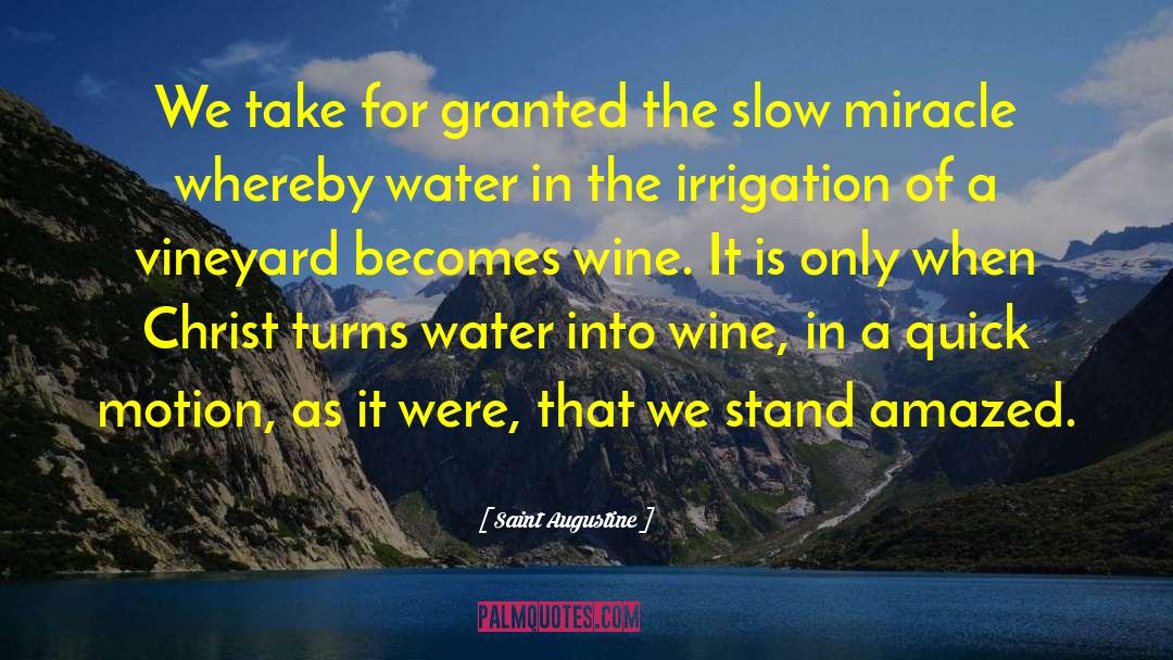 Pecchia Irrigation quotes by Saint Augustine