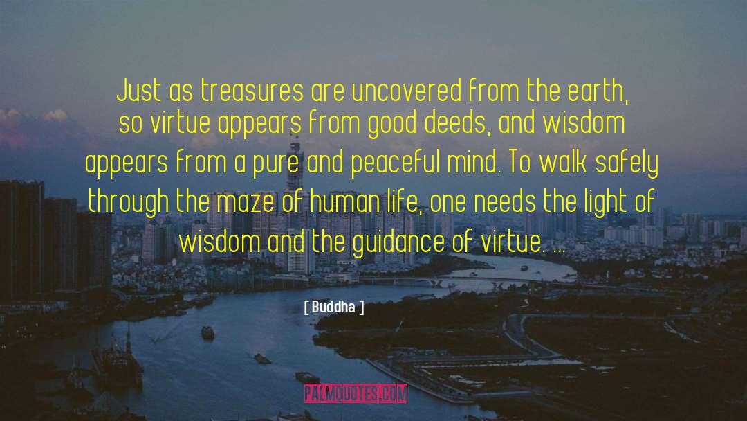 Peculiar Treasures quotes by Buddha