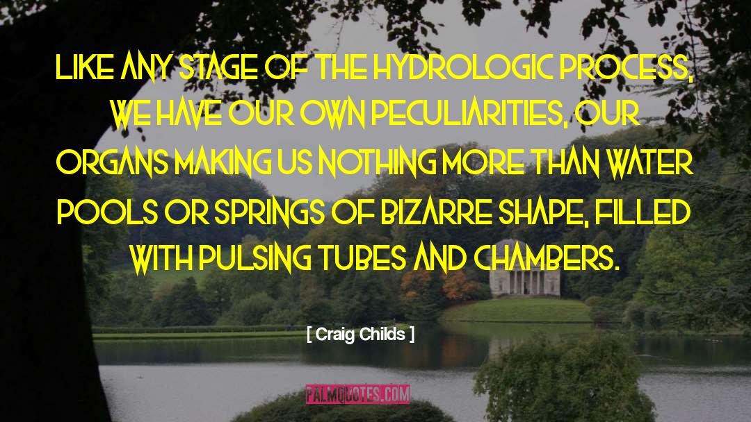 Peculiarities quotes by Craig Childs