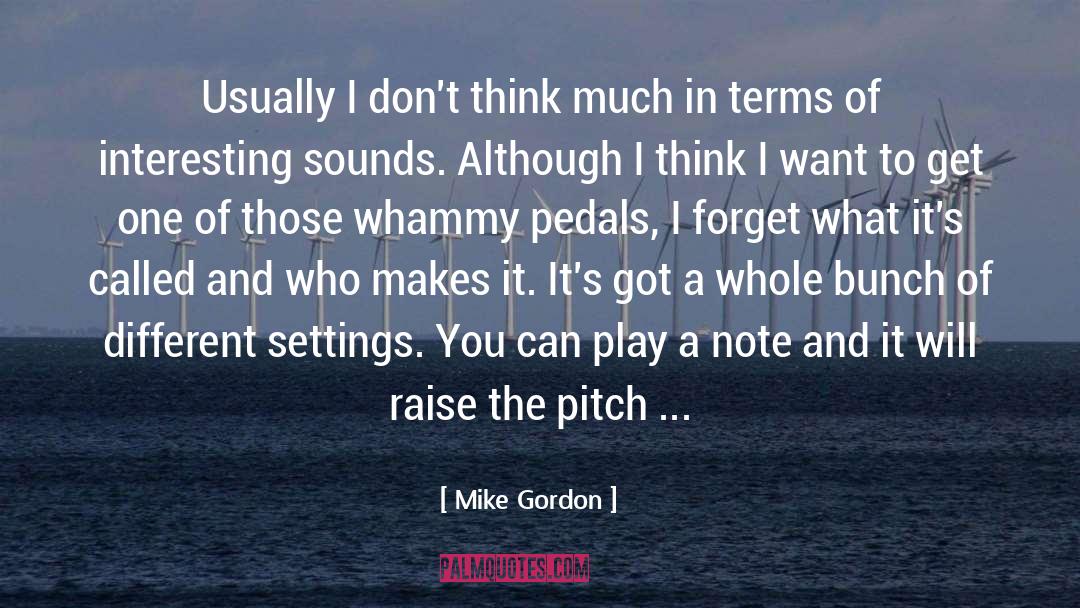 Pedals quotes by Mike Gordon