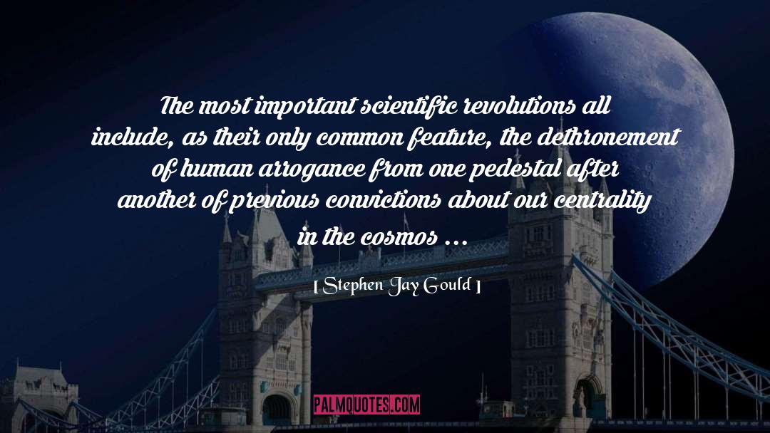 Pedestal quotes by Stephen Jay Gould