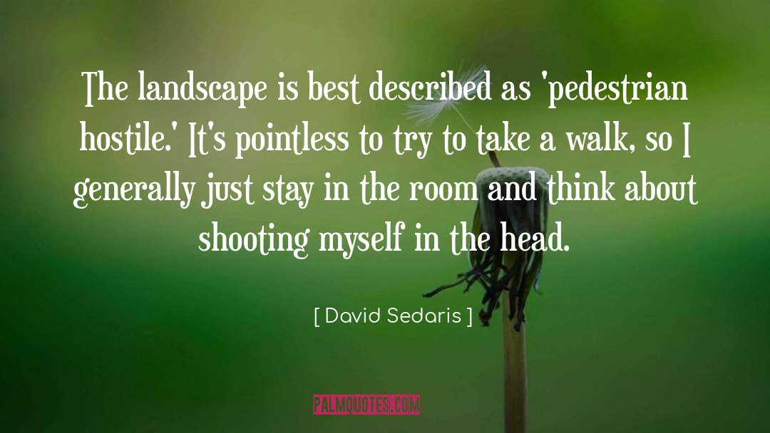 Pedestrian quotes by David Sedaris