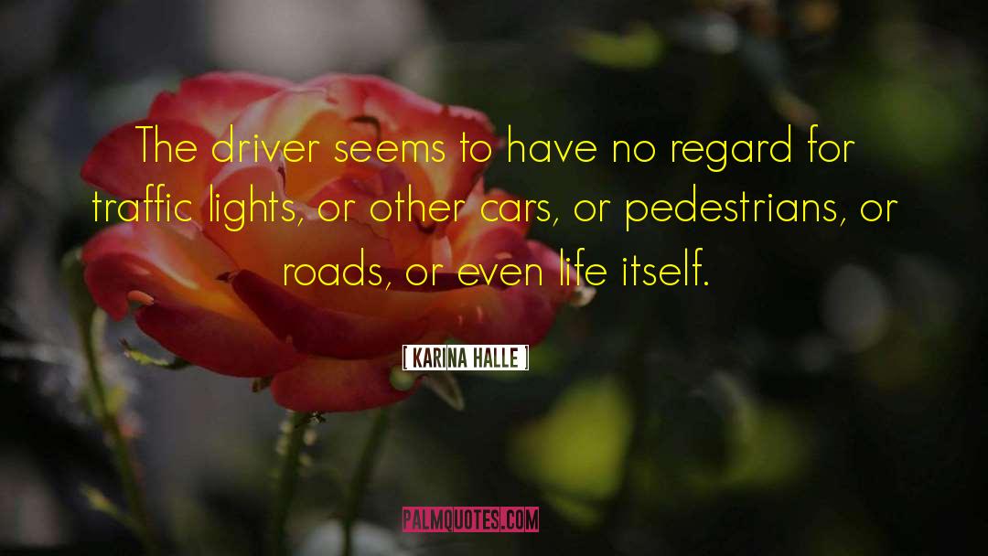 Pedestrians quotes by Karina Halle
