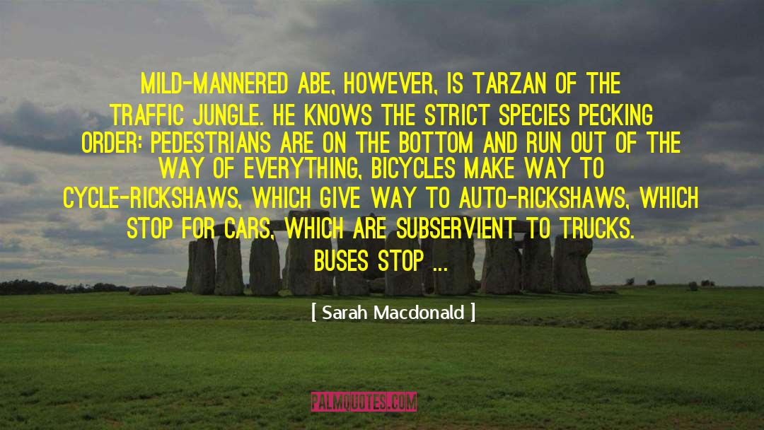 Pedestrians quotes by Sarah Macdonald
