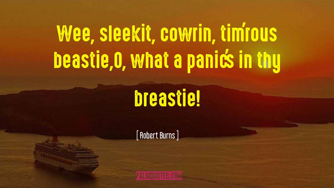 Pee Wee Football quotes by Robert Burns