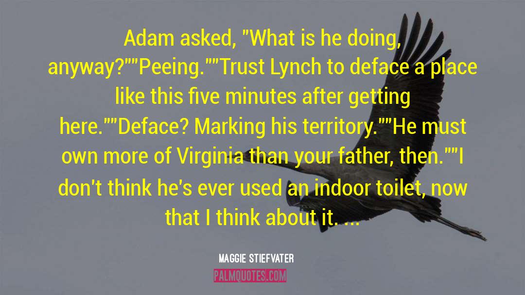 Peeing quotes by Maggie Stiefvater