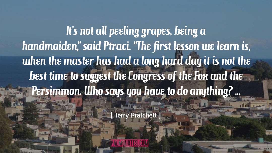 Peeling quotes by Terry Pratchett