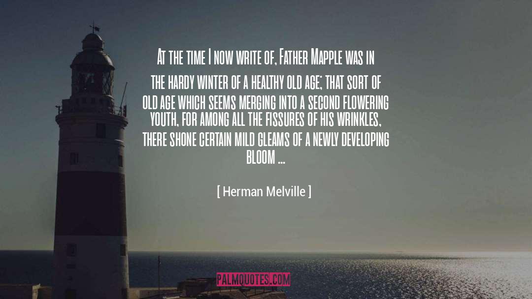 Peeping quotes by Herman Melville