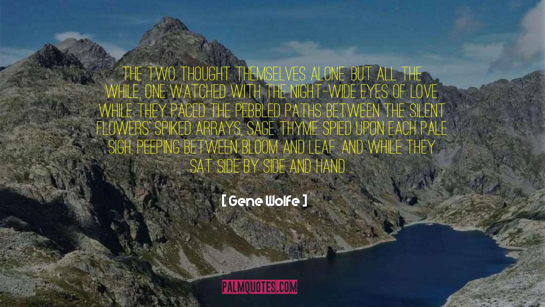 Peeping quotes by Gene Wolfe