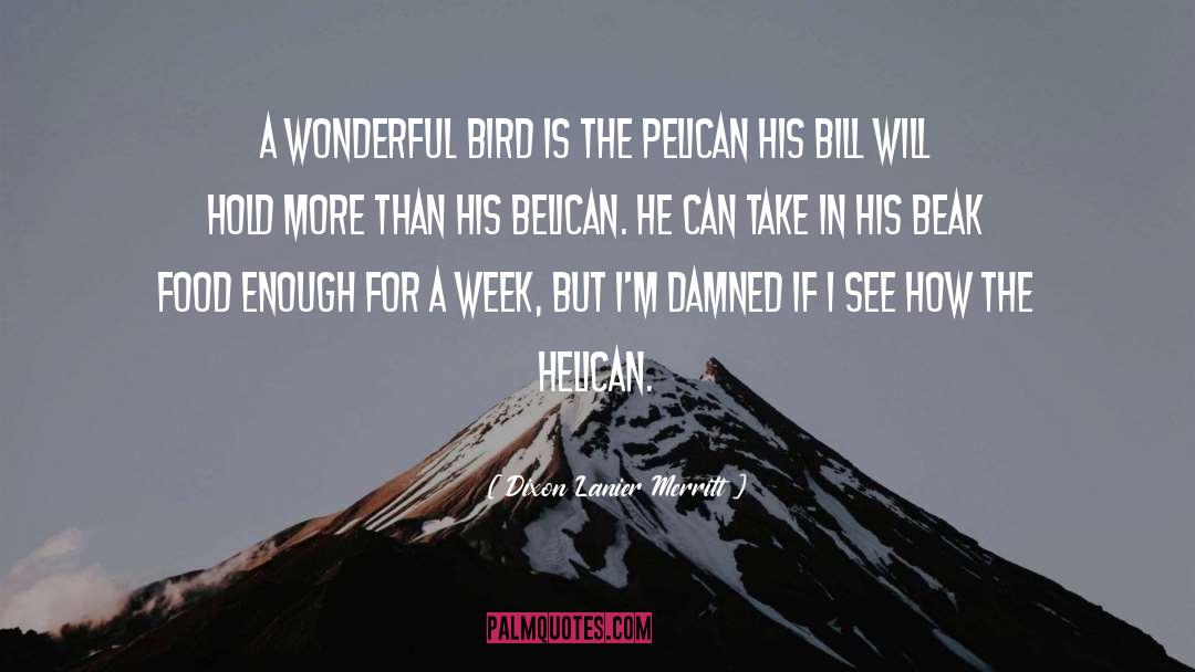 Pelican quotes by Dixon Lanier Merritt