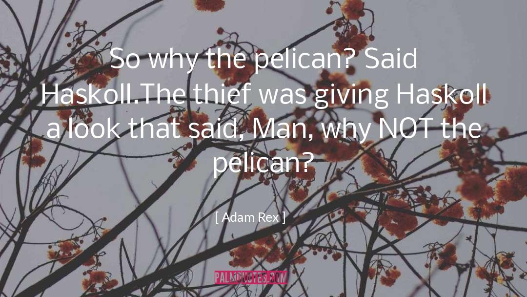 Pelican quotes by Adam Rex