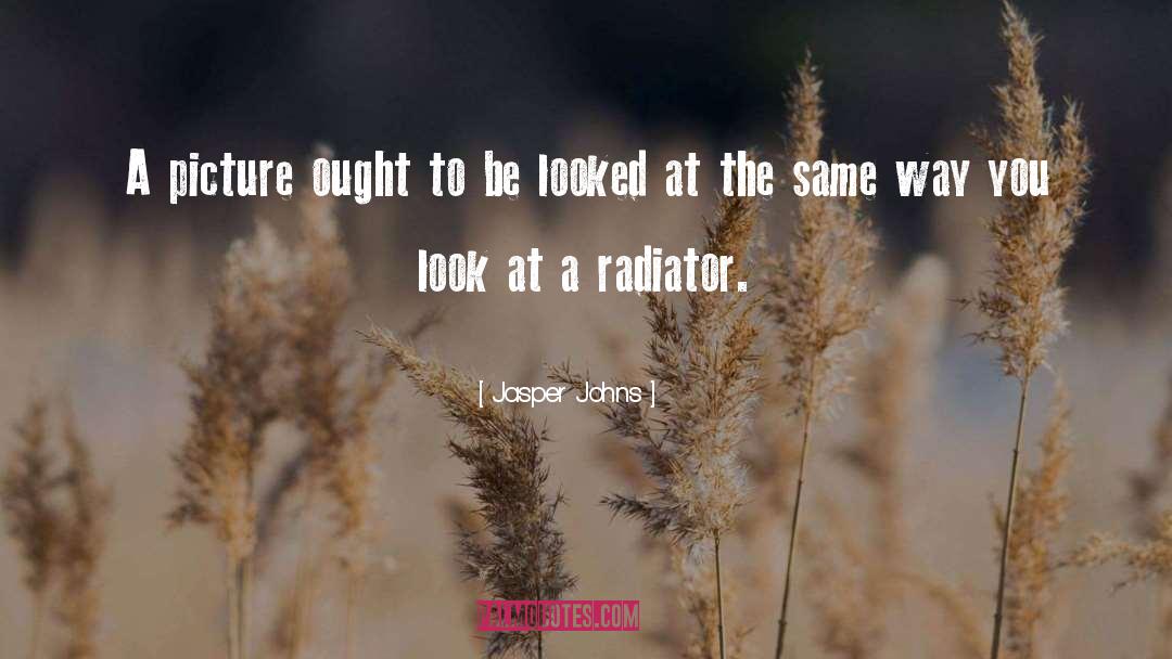 Pelonis Radiator quotes by Jasper Johns