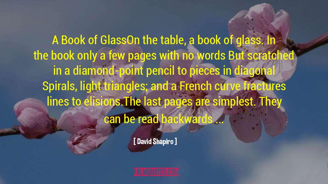 Pencil quotes by David Shapiro