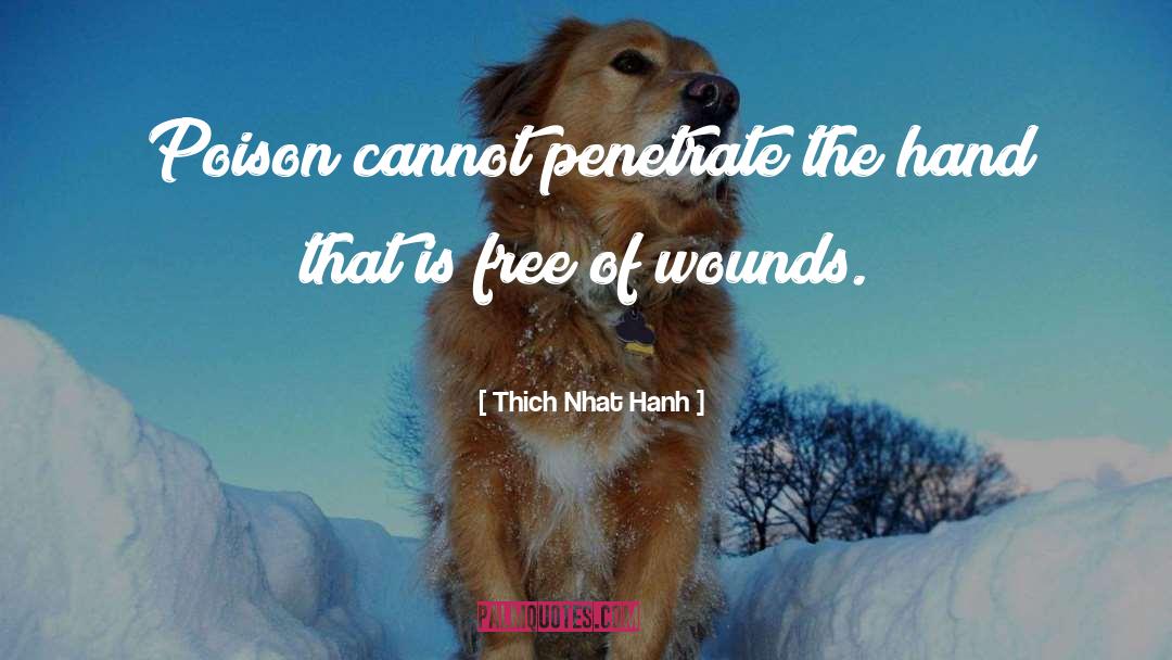 Penetrate quotes by Thich Nhat Hanh