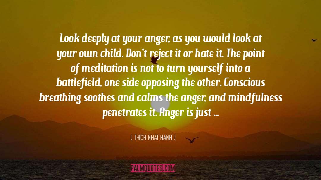 Penetrates quotes by Thich Nhat Hanh