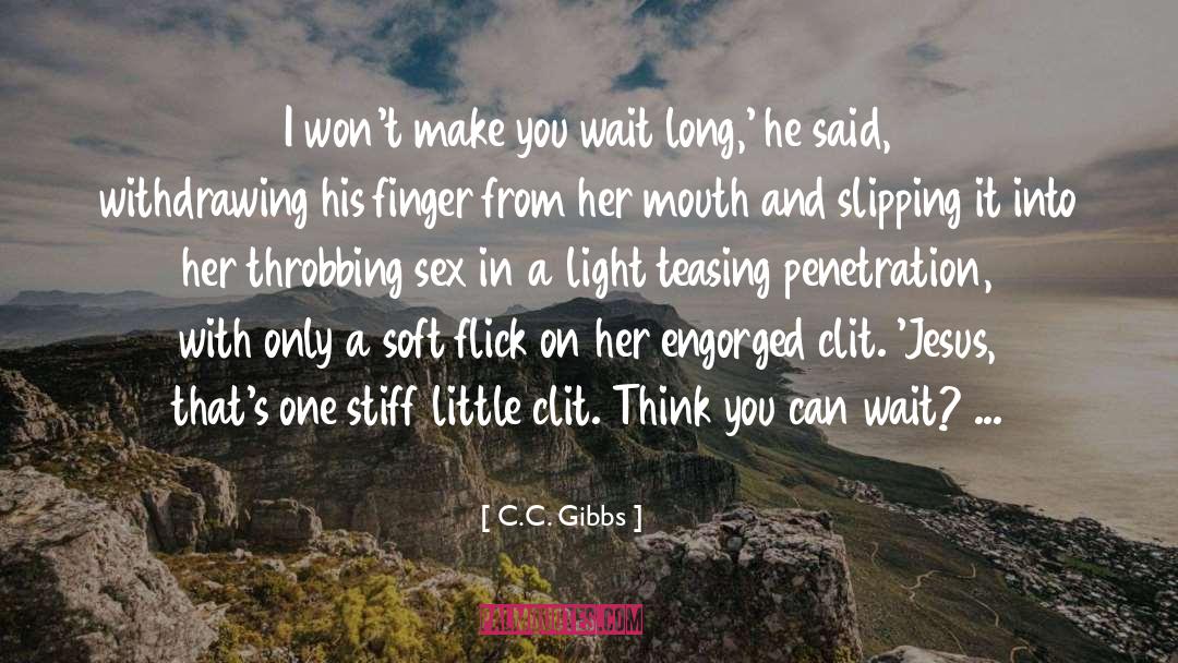 Penetration quotes by C.C. Gibbs