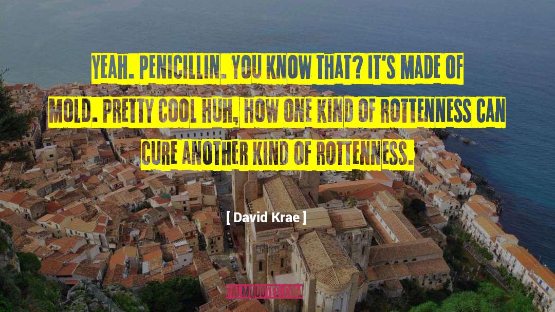Penicillin quotes by David Krae