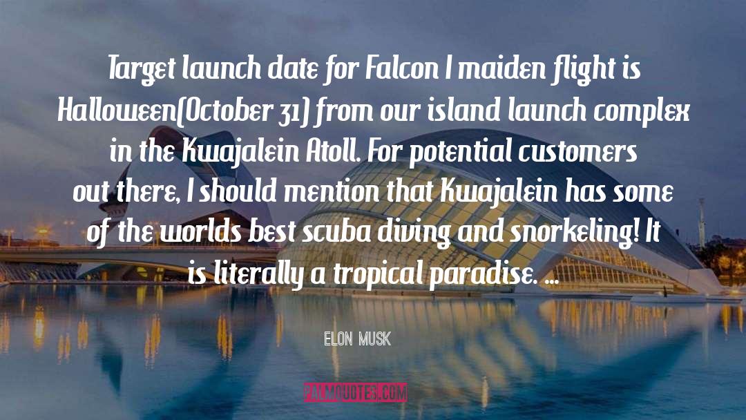 Pennekamp Snorkeling quotes by Elon Musk