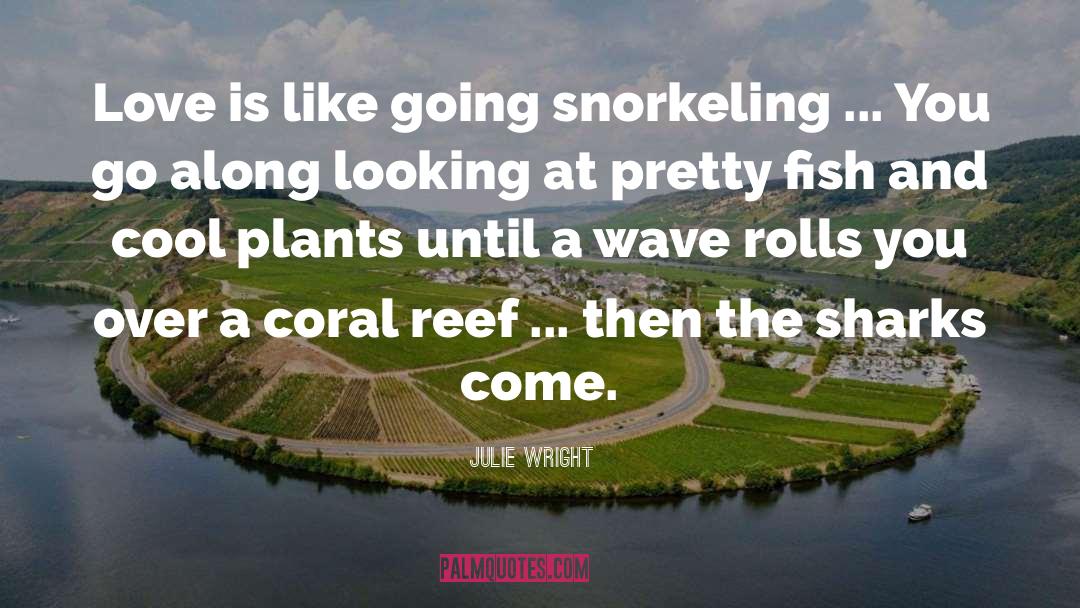 Pennekamp Snorkeling quotes by Julie Wright