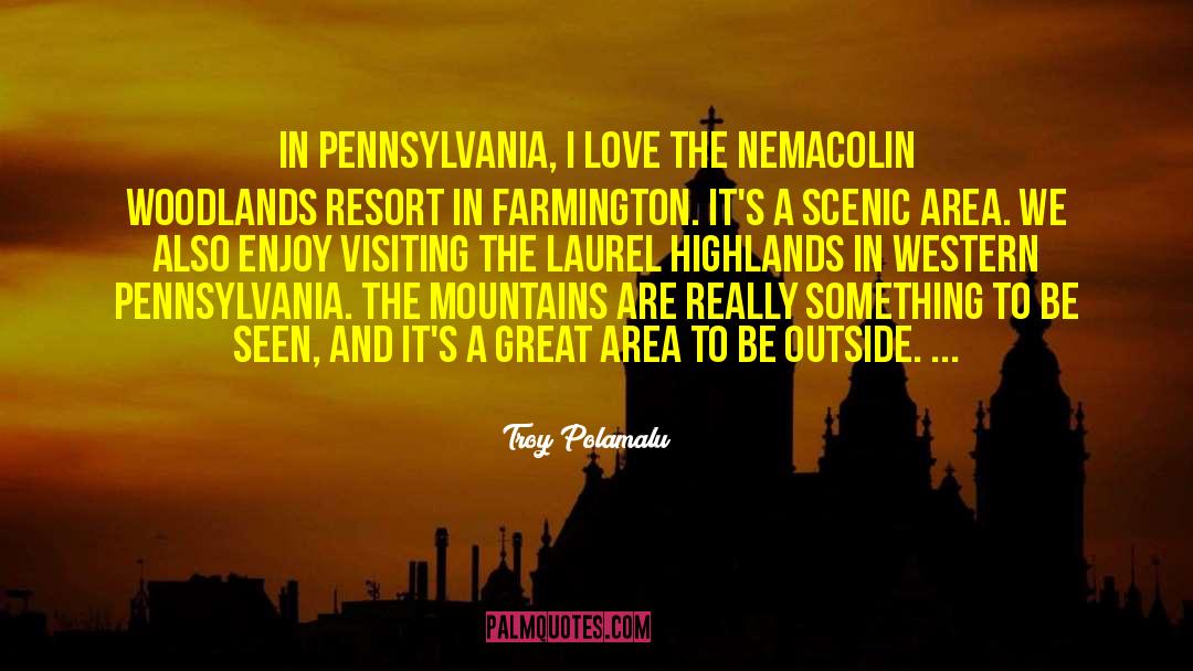 Pennsylvania quotes by Troy Polamalu