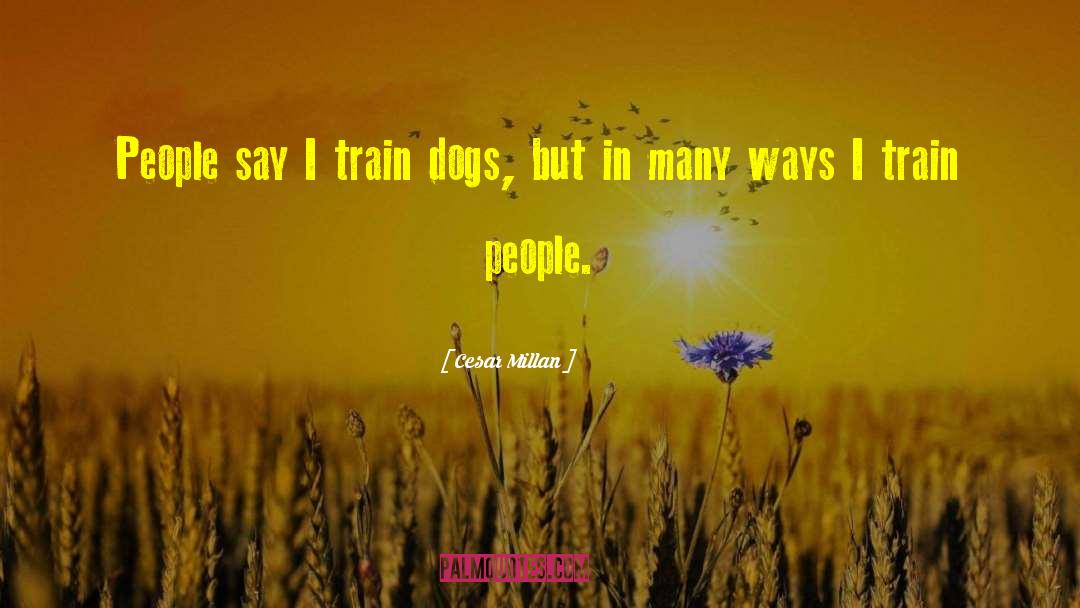 Pennsylvanian Train quotes by Cesar Millan