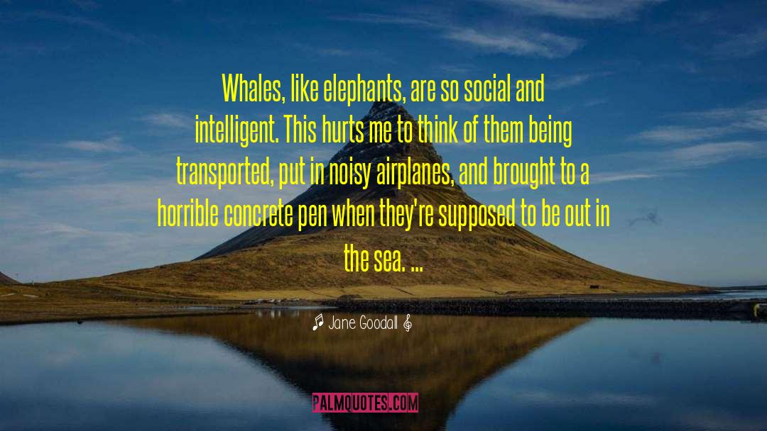 Pens quotes by Jane Goodall