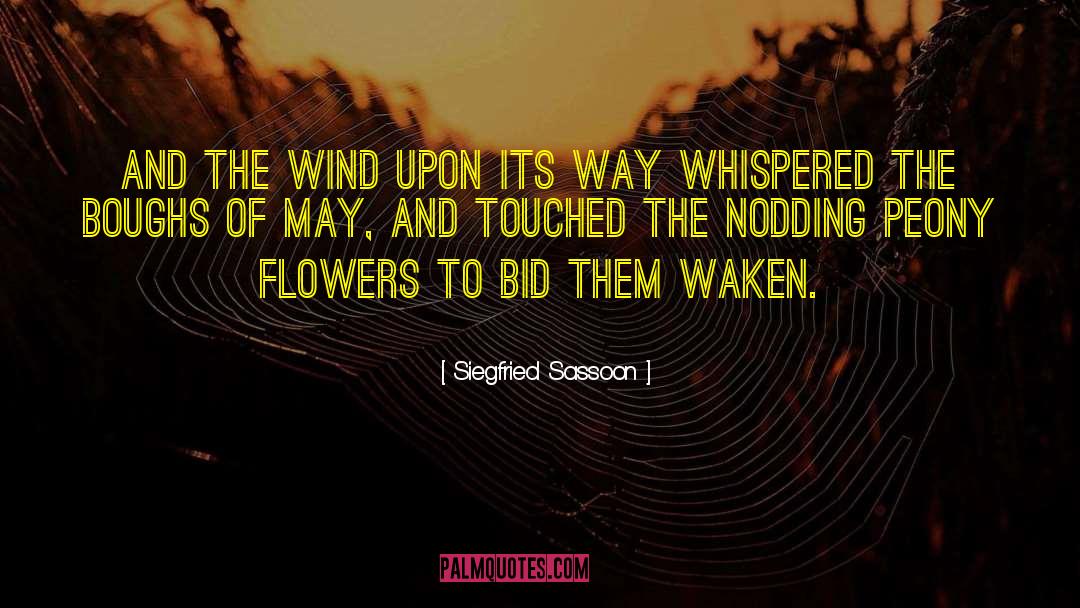 Peony quotes by Siegfried Sassoon