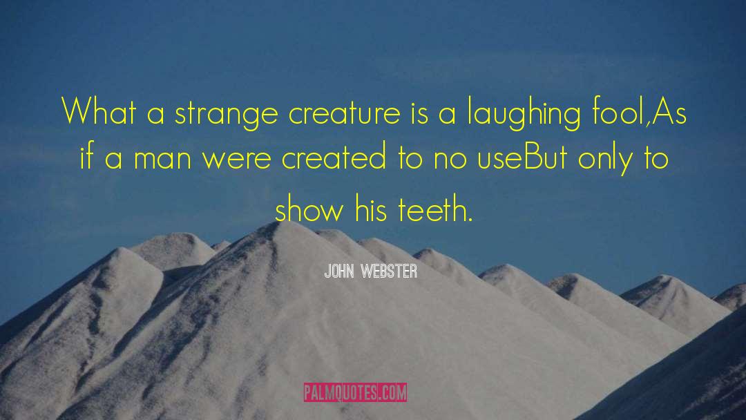 People Stupidity quotes by John Webster