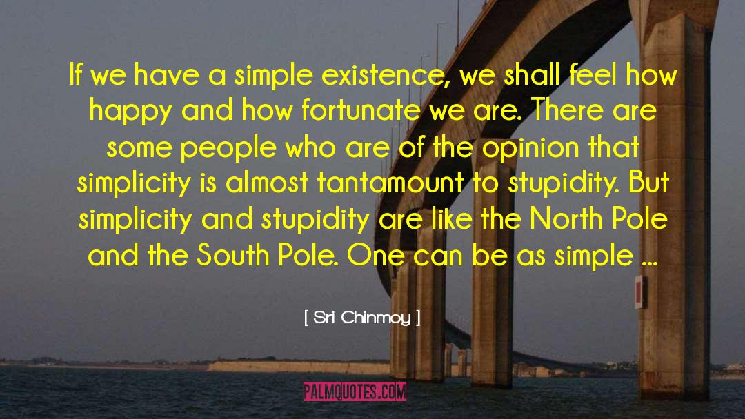 People Stupidity quotes by Sri Chinmoy