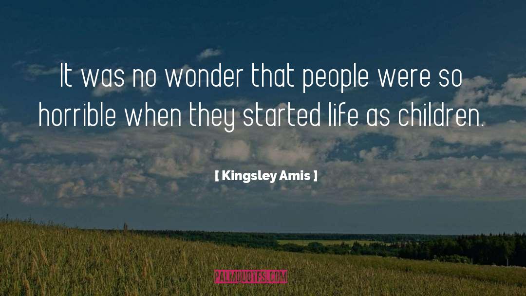 People Stupidity quotes by Kingsley Amis