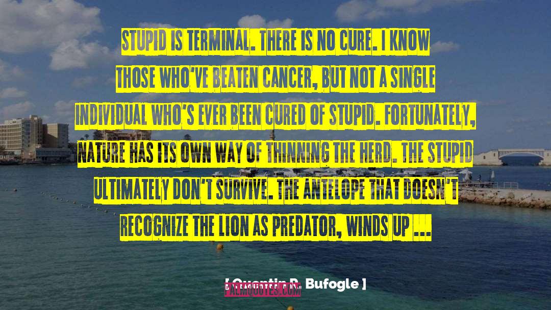 People Stupidity quotes by Quentin R. Bufogle