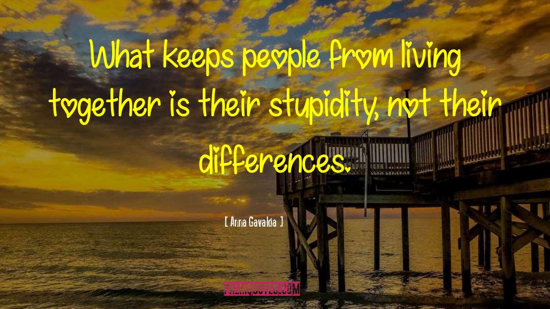 People Stupidity quotes by Anna Gavalda