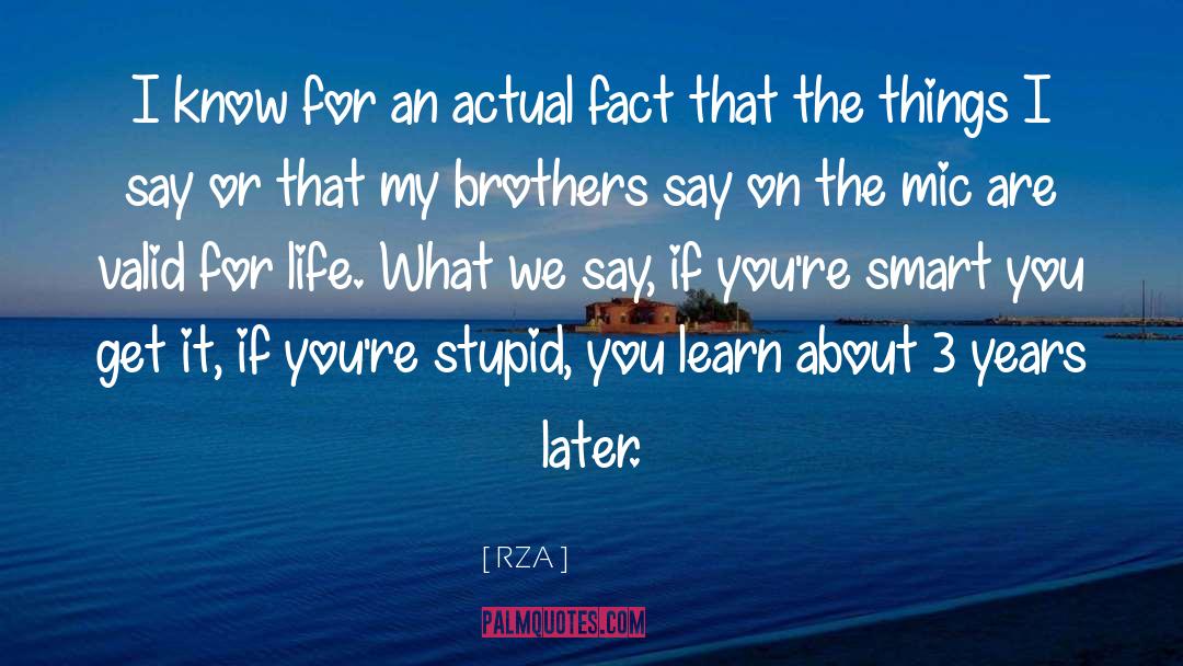 Peppelman Brothers quotes by RZA