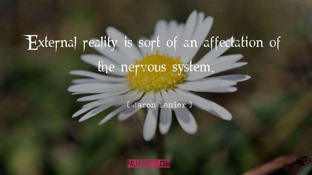 Perceived Reality quotes by Jaron Lanier