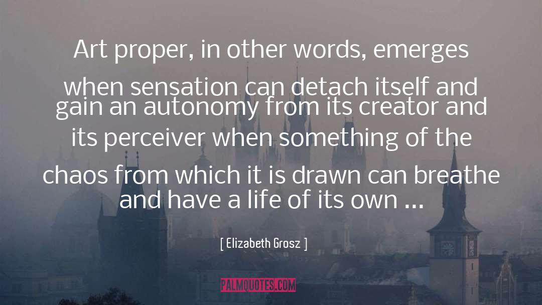 Perceiver quotes by Elizabeth Grosz