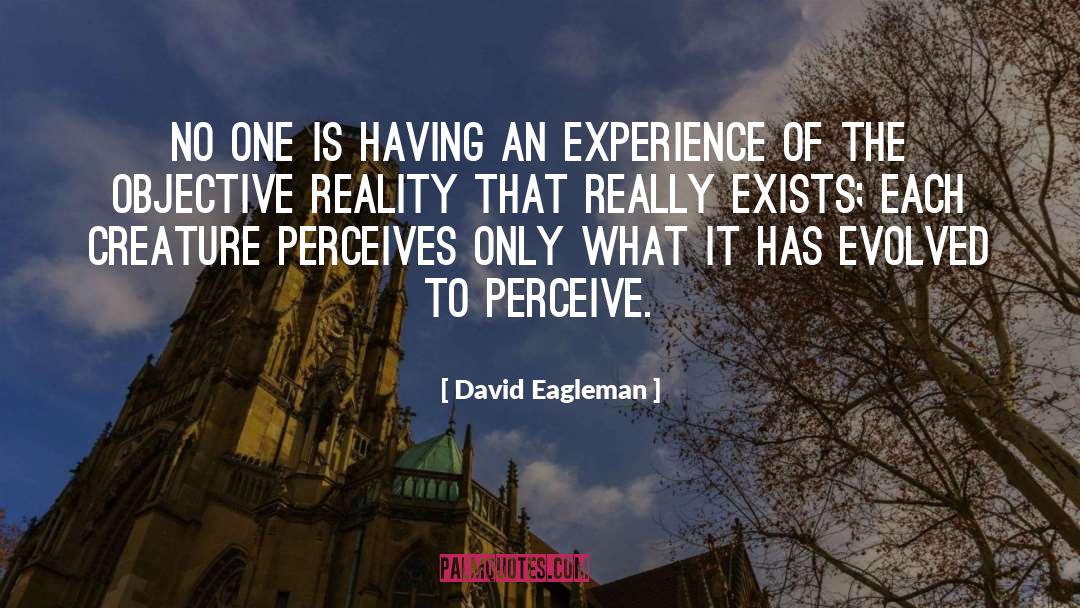 Perceives quotes by David Eagleman