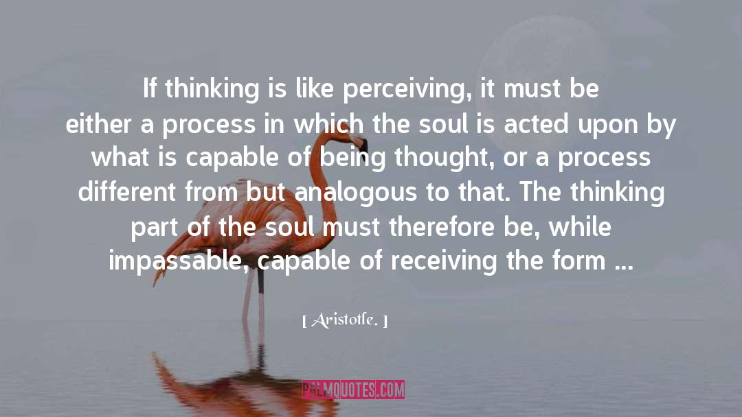 Perceiving quotes by Aristotle.