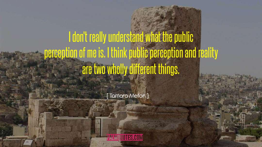 Perception And Reality quotes by Tamara Mellon