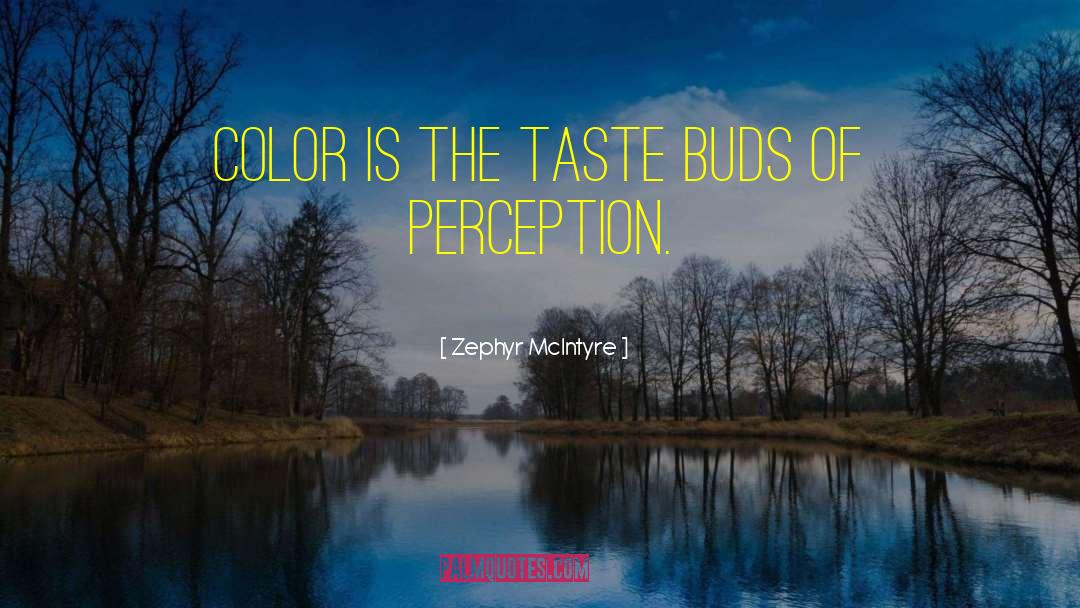 Perception Is Reality quotes by Zephyr McIntyre