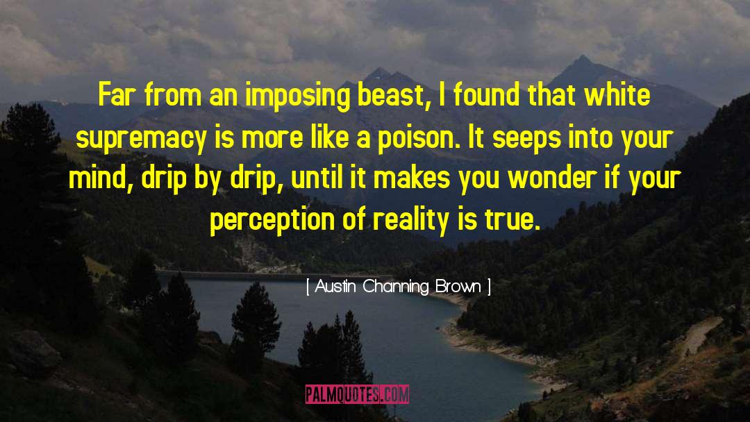 Perception Of Reality quotes by Austin Channing Brown