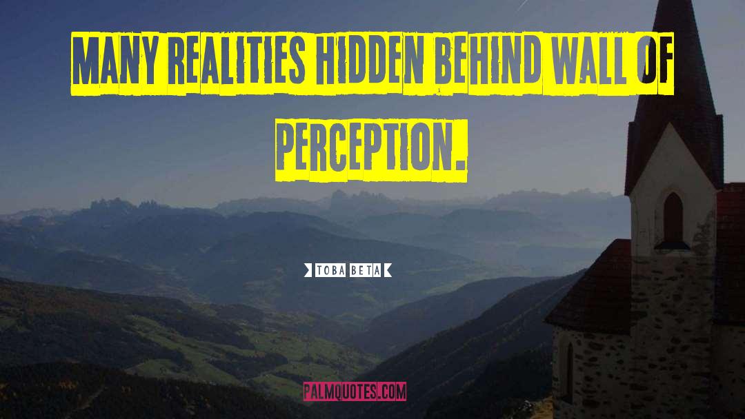 Perception Reality quotes by Toba Beta
