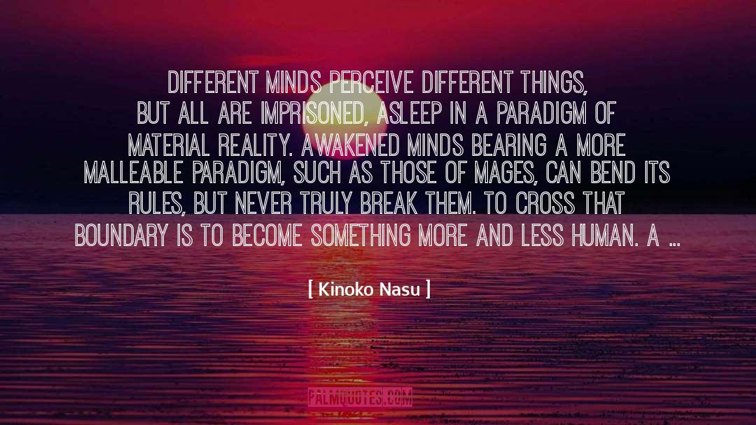 Perception Reality quotes by Kinoko Nasu