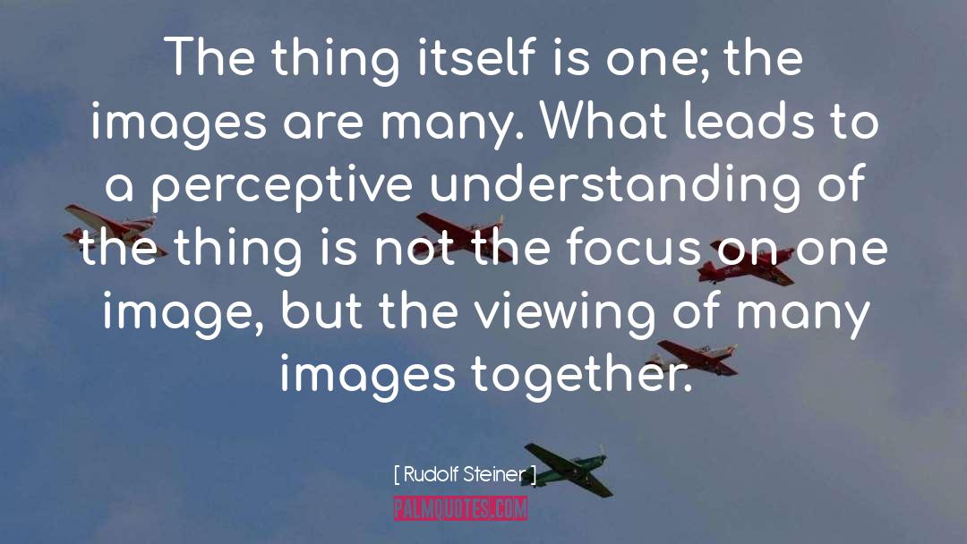 Perceptive quotes by Rudolf Steiner