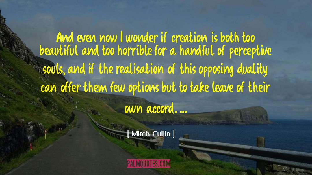 Perceptive quotes by Mitch Cullin