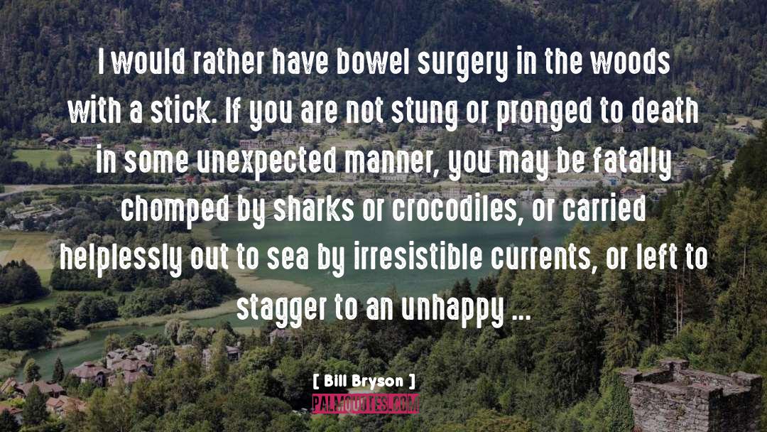 Perces Surgery quotes by Bill Bryson