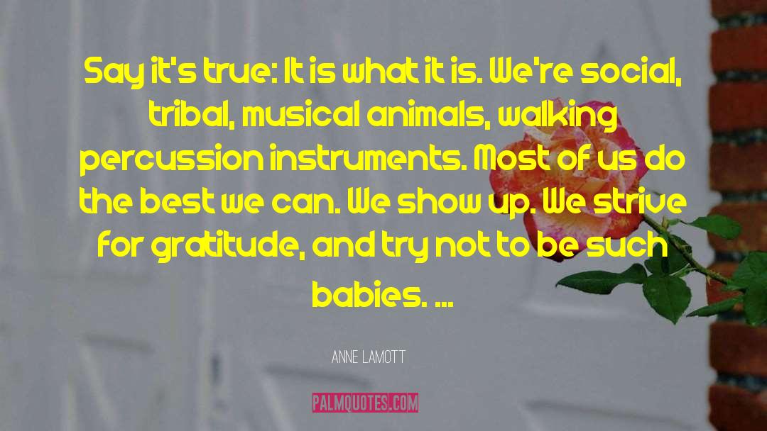 Percussion quotes by Anne Lamott