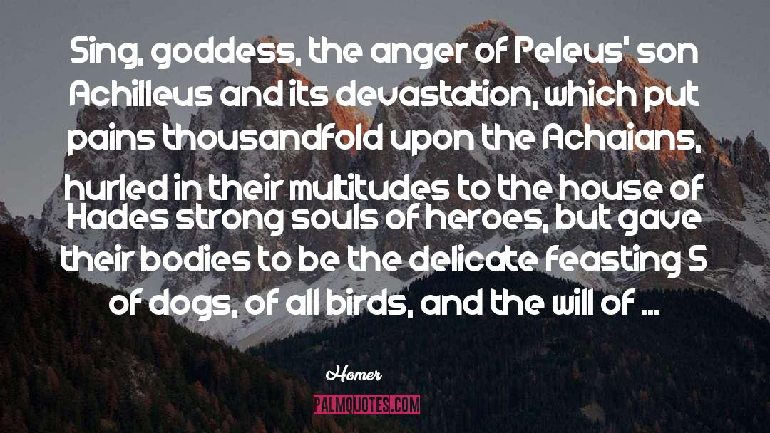 Percy Jackson House Of Hades quotes by Homer