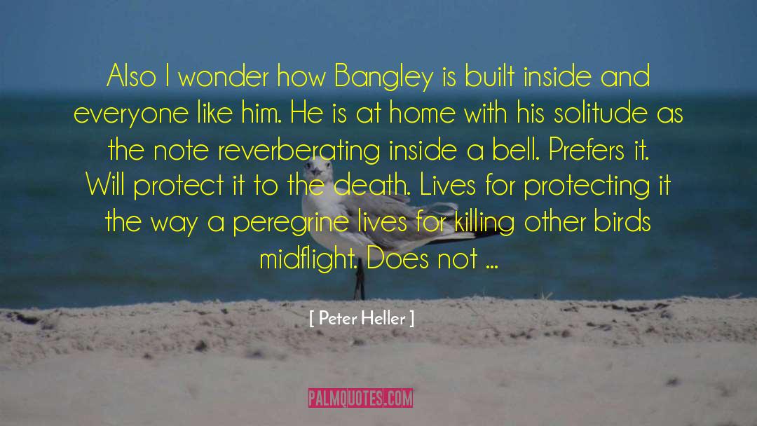 Peregrine quotes by Peter Heller