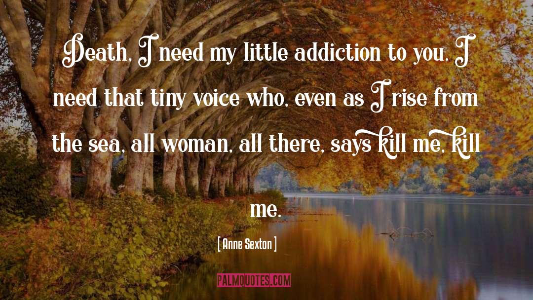 Perfect Addiction quotes by Anne Sexton